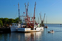 Shrimp boats docked on Shem Creek in the town of Mount Pleasant, South Carolina, USA.