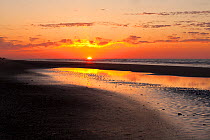 Sunrise at Folly Island along the Atlantic Coast south of Charleston, South Carolina, USA.