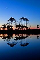 Moon and sunrise over the lagoon at Hunting Island State Park, South Carolina, USA.