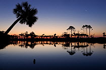 Moon and sun rise over the lagoon at Hunting Island State Park, South Carolina, USA.