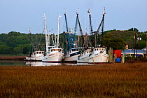 Fishing boats of the Gay Fish Company docked along Ward Creek, Frogmore, South Carolina, USA.