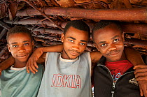 Group of three Mbuti Pygmy men with arms around each other's shoulders,  Ituri forest, Democratic Republic of the Congo, Africa, November 2011.