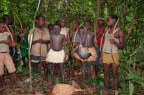 Mbuti pygmy initiation hunt, with two boys in traditional blue body paint and straw skirt. One boy is holding catch of Blue Duiker (Philantomba monticola) Ituri Rainforest, Democratic Republic of the...