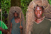 Mbuti Pygmy men carrying throwing nets on head for initiation hunt, Ituri Rainforest, Democratic Republic of the Congo, Africa, November 2011.