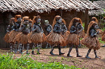 Mbuti Pygmy boys in traditional blue body paint and straw skirts, on way to forest to undergo initiation ceremony, which is a right of passage into manhood. Ituri Rainforest, Democratic Republic of th...