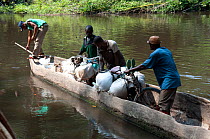 Porters transporting goods on bicycles loaded into canoe for transport along river, Democratic Republic of the Congo, Africa, December 2012.