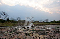 Thermal hot springs at Semiliki valley, western Uganda. February 2012.