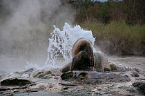 Close up of thermal hot springs at Semiliki valley, western Uganda. February 2012.