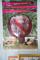 Anti-pouching poster stating that it is illegal to import or export elephant ivory into Thailand, Nakhon Sawan, Thailand, 2013.