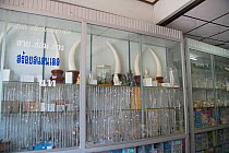 Fake ivory products (including tusks) made of porcelain, for sale in shop, Nakhon Sawan, Thailand, December 2012.