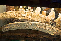Carved ivory tusks, for sale in shop on Nathan Road, Kowloon, Hong Kong, December 2012.