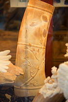 Carved Mammoth (Mammuthus) ivory tusks, for sale in shop on Nathan Road, Kowloon, Hong Kong, December 2012.