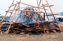 Government ivory burn with 6 tonnes  (worth 6 million dollars)  of African elephant (Loxodonta africana) tusks, Libreville, Gabon, June 6th 2012.