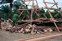 Park rangers piling up African forest elephant (Loxodonta cyclotis) tusk before government ivory burn with 6 tonnes (worth 6 million dollars) of ivory, Libreville, Gabon, June 6th 2012.
