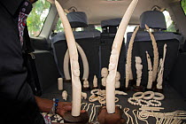 Carved Elephant tusks for sale in back of car,  Matche de la Volier (Market of the Thieves), Kinshasa, Democratic Republic of the Congo, May 2012.