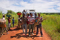 Men in village playing on home made four string guitars on road to Katanga, Democratic Republic of Congo, March 2012.