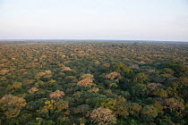 Aerial photograph of Garamba National Park, Democratic Republic of the Congo, February 2012.