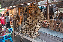 Leopard skin (Panthera pardus) for sale at Matche de la Volier (Market of the Thieves), Kinshasa, Democratic Republic of the Congo. May 2012.