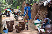Trading camp with female trader shouting, Salonga National Park, Equateur Region, Democratic Republic of the Congo.