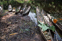 Dugout wooden canoes on bank of river, Salonga National Park, Equateur, Democratic Republic of the Congo, May 2012.