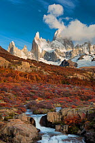 Waterfall and autumn foliage with view to Mount Fitz Roy. El Chalten, Patagonia, Argentina. April 2013.