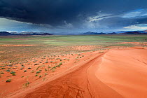 Rainstorm over desert plain, Namib Rand, Namibia. February 2011.