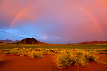Rainbow over desert landscape. Namib Rand, Namibia. February 2011.