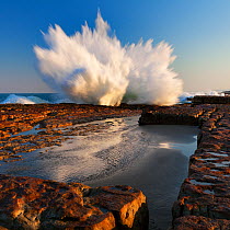 Large wave crashing against rock shelf. Luphathana, Pondoland, Eastern Cape, South Africa. June 2012.