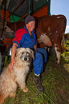 Farmer sitting with dog, milking Abondance cows. The milk is used in the production of Beaufort cheese. Beaufort district, near Bourg-Saint-Maurice, Rhone-Alpes, France, May 2014.