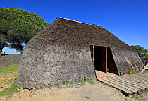 Traditional thatched hut, Donana National Park, Andalusia, Spain, March 2014.