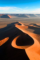 Dunes of Sossusvlei. Namib Naukluft National Park, Namibia. April 2012. Non-ex.