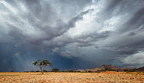 Thunderstorm over a dry desert landscape. Namib Rand, Namibia. March 2014. Non-ex.