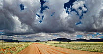 Thunderclouds building over one of Namibia's many dirt roads. Southern Namibia. April 2014. Non-ex.