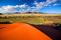 Desert landscape after plentiful rains. Namib Rand, Namibia. April 2011. Non-ex.