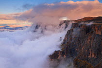Amphitheater wall shrouded in mist. Royal Natal National Park, Drakensberg, South Africa. November 2010. Non-ex.