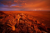 Thunderstorm at sunset over the plains of the Karoo. Western Cape, South Africa. January 2012. Non-ex.