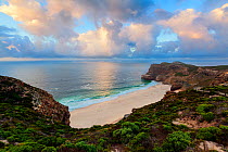 Diaz beach cove at sunrise. Cape Point National Park, Cape Town, South Africa. January 2012. Non-ex.
