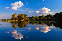 Reflections in the Zambezi river on a calm afternoon. Near Victoria Falls, Zimbabwe. November 2012. Non-ex.