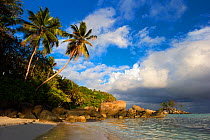 Tropical beach scene in afternoon light. Anse Royale, Mahe Island, Seychelles. October 2012. Non-ex.