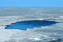 Hole in ice used by Baikal seals (Pusa sibirica) for breathing. Lake Baikal, Russia, April.