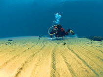 Diver exploring sandy lakebed. Lake Baikal, Russia, December 2009.
