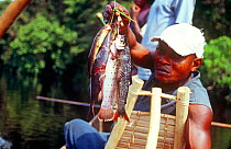 Fisherman with catch on the Momboyo river, Democratic Republic of the Congo, 2008-2009.