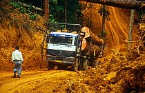 Lorry transporting timber in the Waka forest, Gabon, Central Africa, 2008-2009.