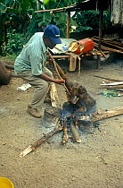 Man burning off fur from  dead Mandrill (Mandrillus sphinx) killed for meat,  Myumba, Gabon, 2008.