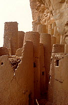 Tellem grain silos, Bandiagara escarpment, Mali, 2005-2006.
