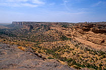 Bandiagara escarpment, Mali, 2005-2006.