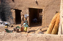Dogon rural farm house. Mali, 2005-2006.