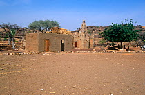 Village mosque, Sevare, Mali, 2005-2006.