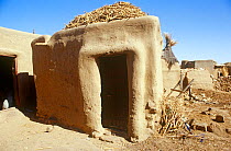 Dogon grain store, Bandiagara, Mali, 2005-2006.