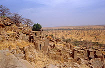 View from the Bandiagara escarpment. Mali, 2005-2006.
